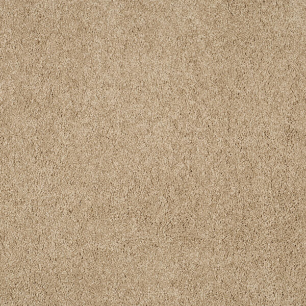 Magical Feeling Carpet