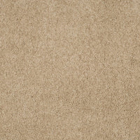 Magical Feeling Carpet