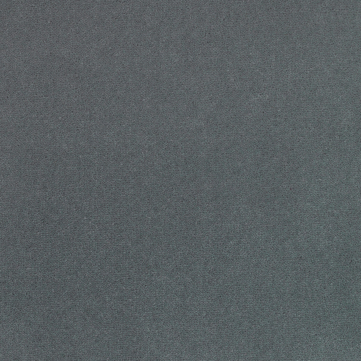 Royal Velvet Carpet