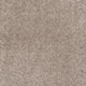 iSense Splendour Carpet