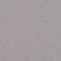 Spectrum Twist Classic 42oz Carpet