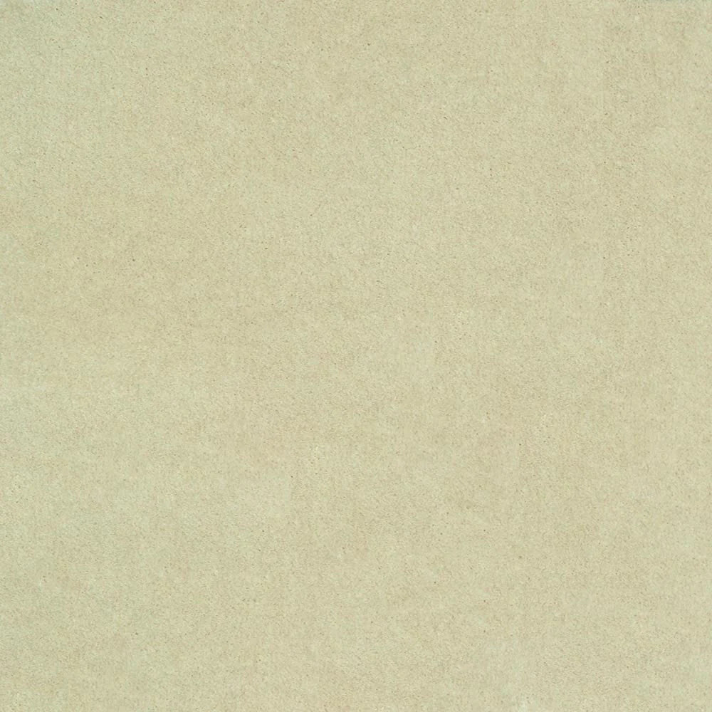 iSense Obsession Carpet