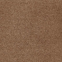 Invictus Darius 50oz Carpet