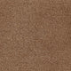 Invictus Darius 50oz Carpet