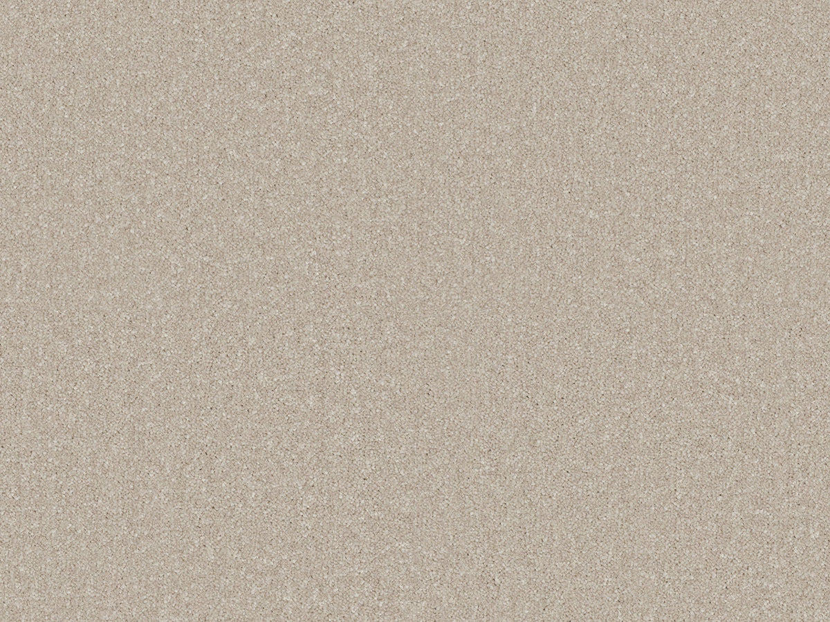 Chic Carpet