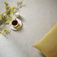 Delight Carpet