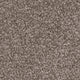 Septimus Carpet