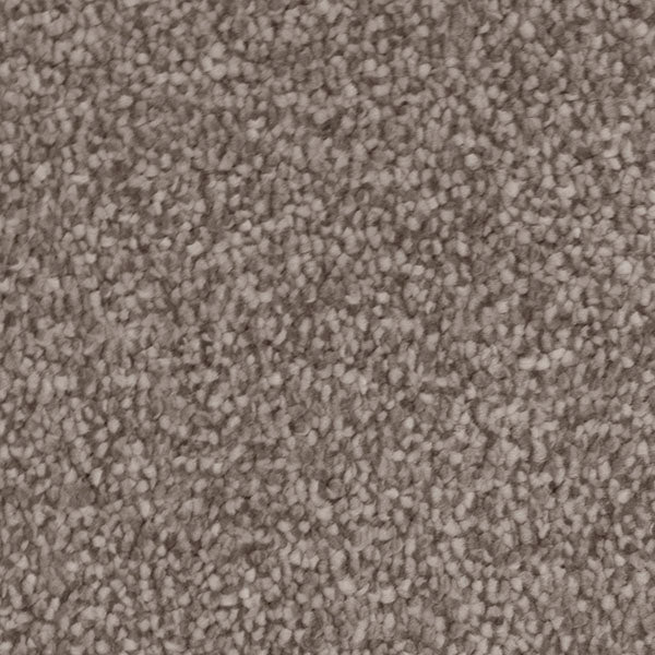 Invictus Severus Carpet