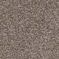 Invictus Severus Carpet