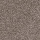 Invictus Severus Carpet