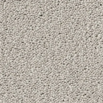 Eleganza Carpet