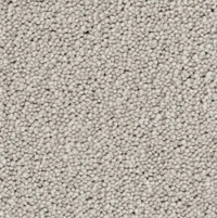 Eleganza Carpet