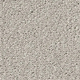 Eleganza Carpet