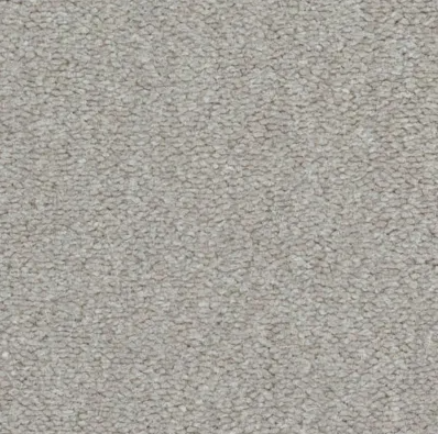 Seta Carpet