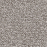 Septimus Carpet