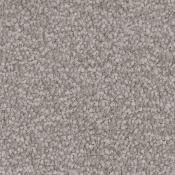 Invictus Severus Carpet