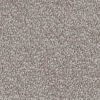 Invictus Severus Carpet