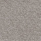 Invictus Severus Carpet