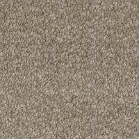 Septimus Carpet