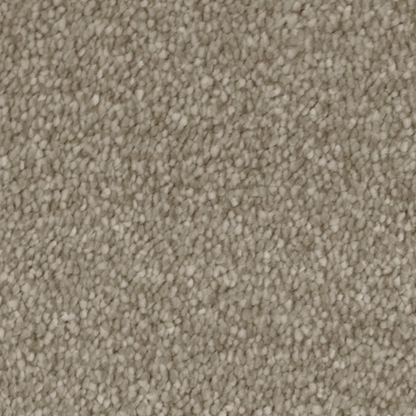 Invictus Severus Carpet