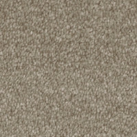 Invictus Severus Carpet