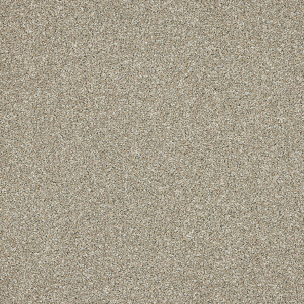 Westbourne Berber Carpet