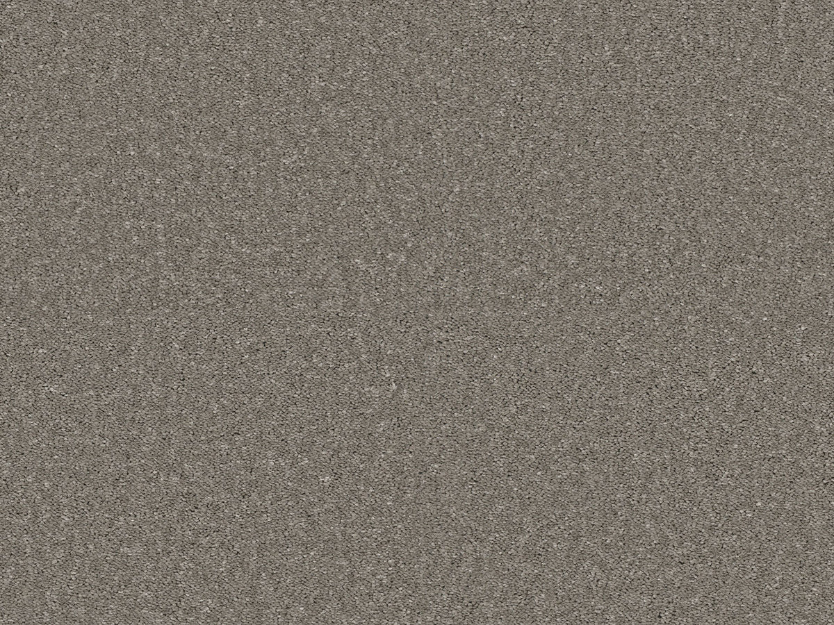 Chic Carpet