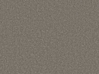 Chic Carpet