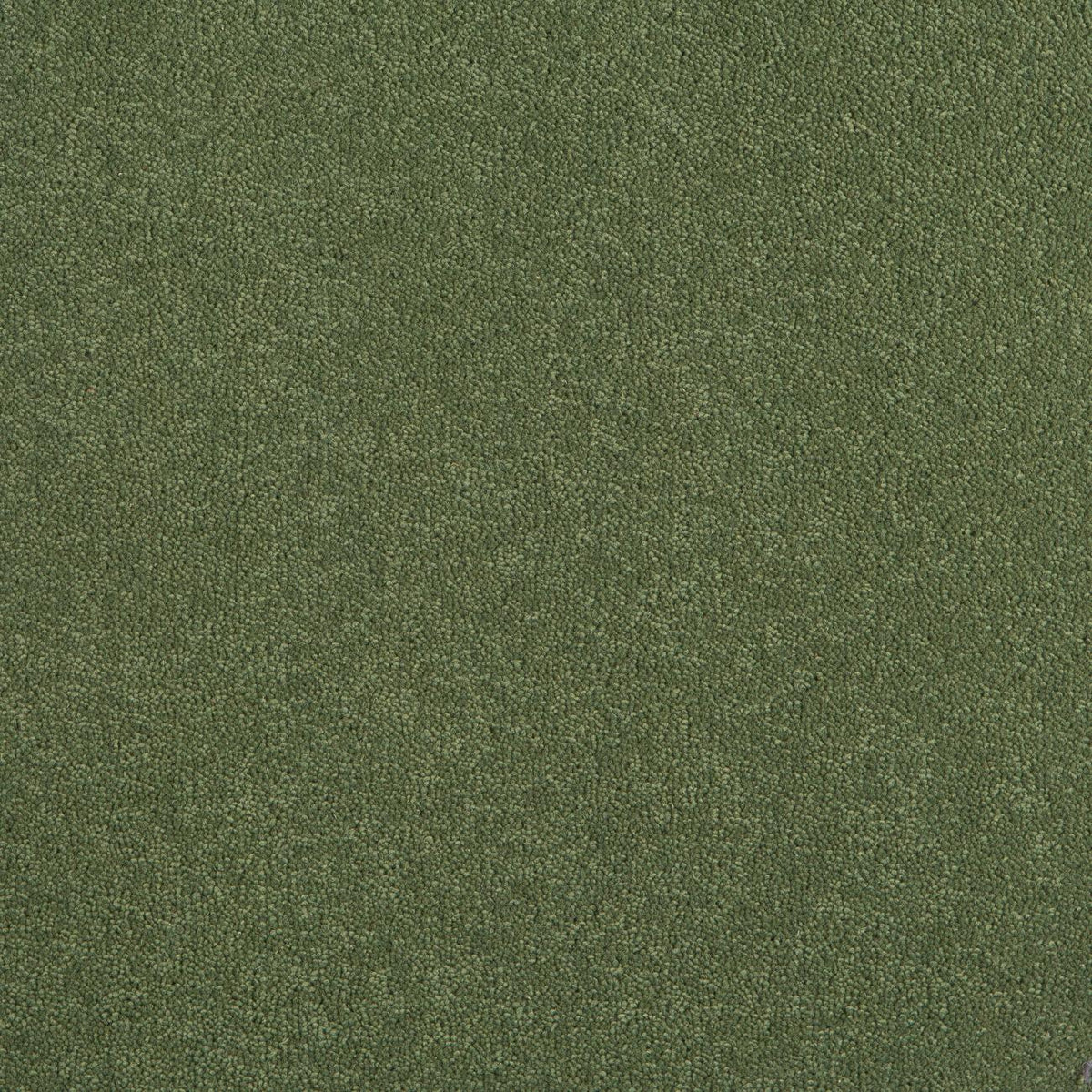 Rigoletto 50oz Carpet