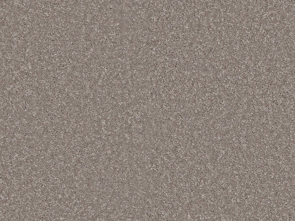 Elegante Carpet