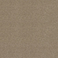 Spectrum Twist Classic 42oz Carpet