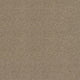 Spectrum Twist Classic 42oz Carpet
