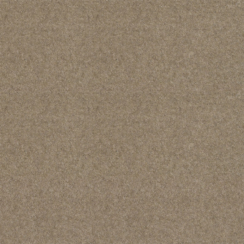 Spectrum Twist Regal 53oz Carpet