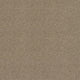 Spectrum Twist Regal 53oz Carpet