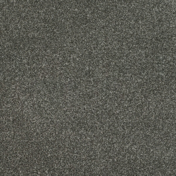Pinnacle Carpet