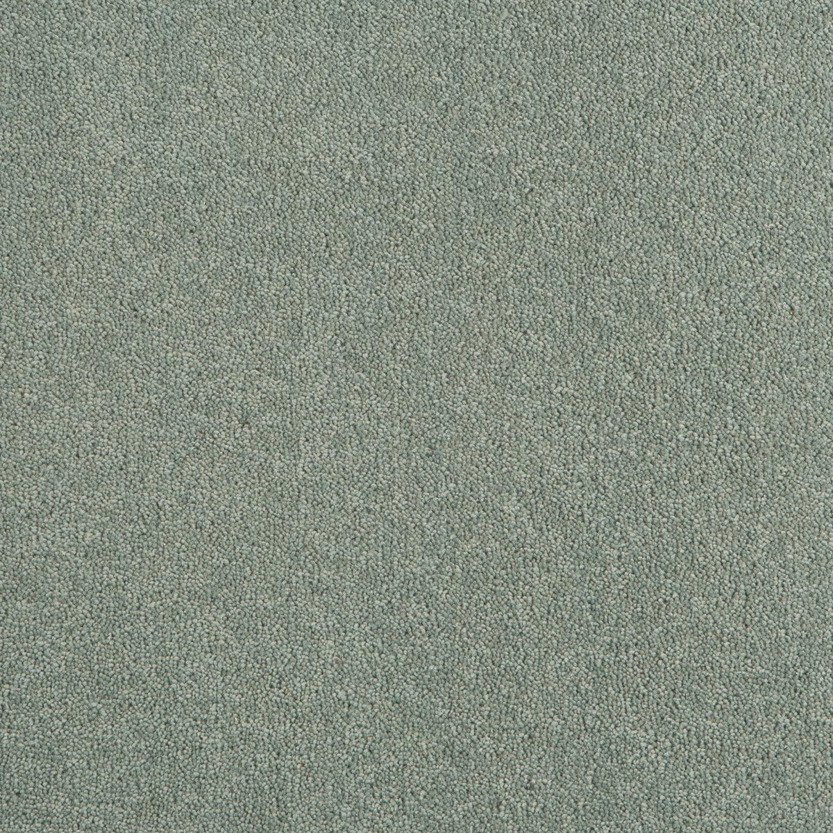 Rigoletto 50oz Carpet