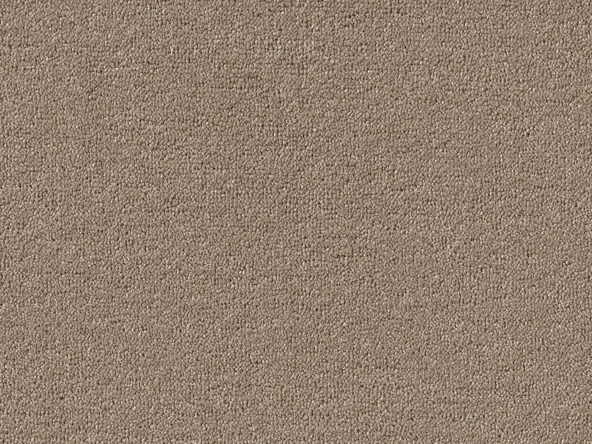 Newbridge Plain Carpet