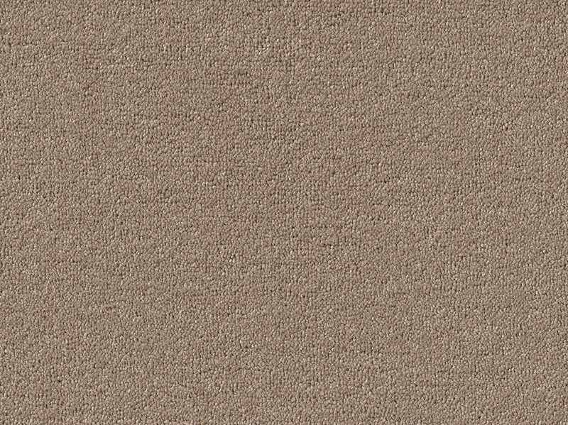 Newbridge Plain Carpet