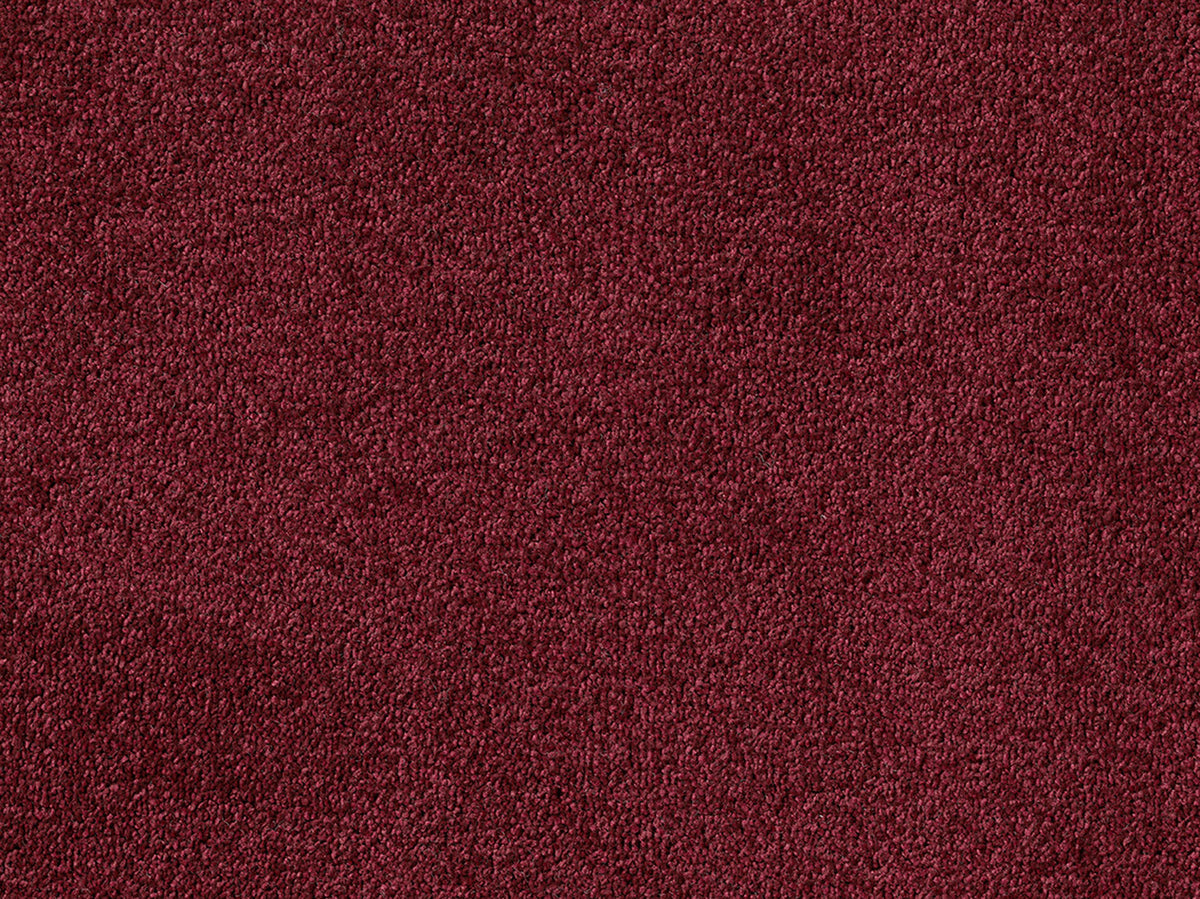 Newbridge Plain Carpet