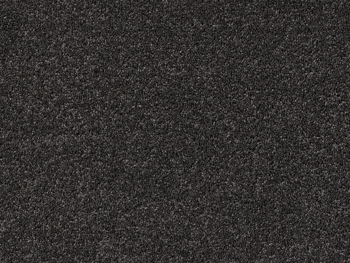 Newbridge Plain Carpet