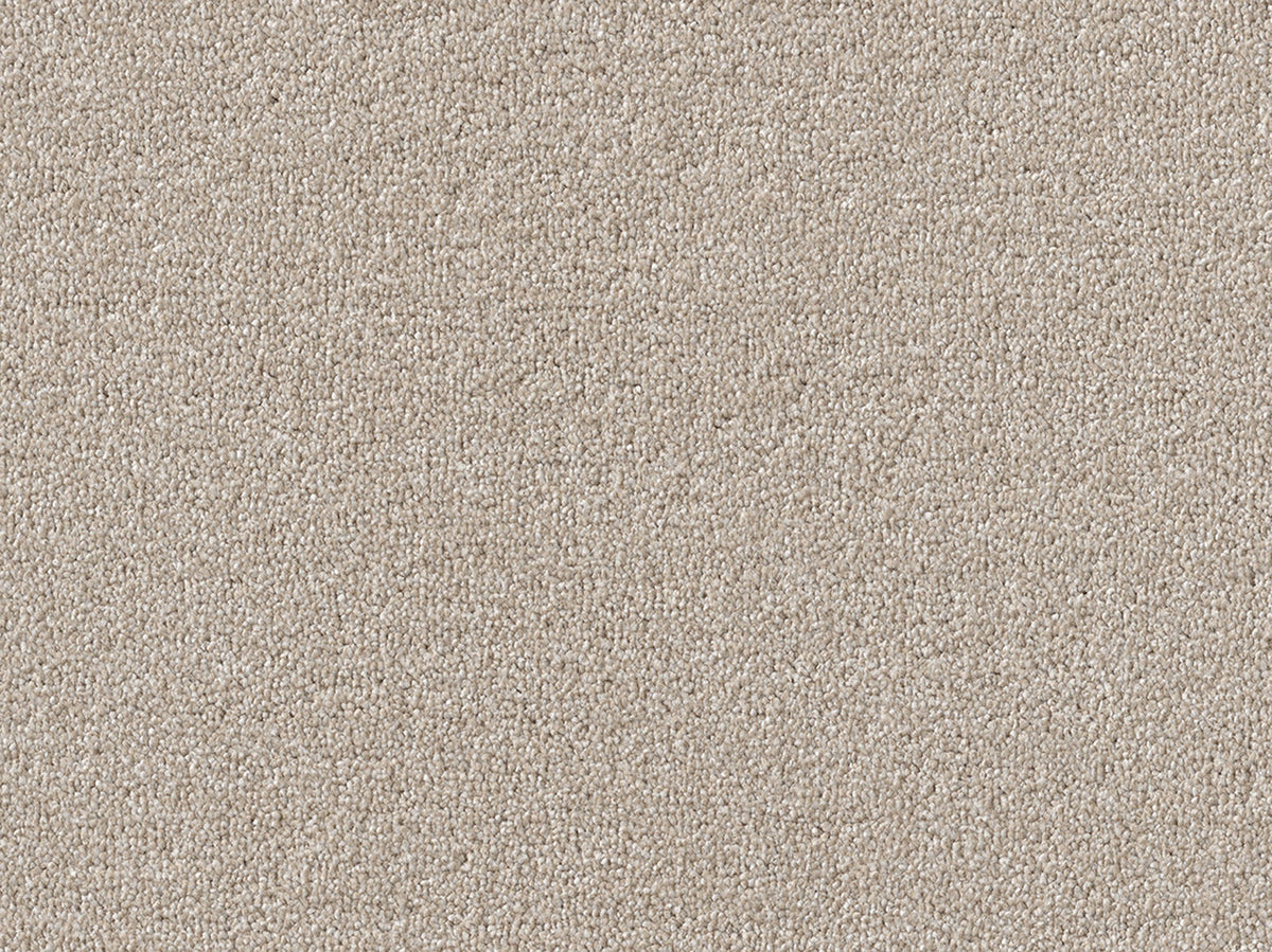 Newbridge Plain Carpet