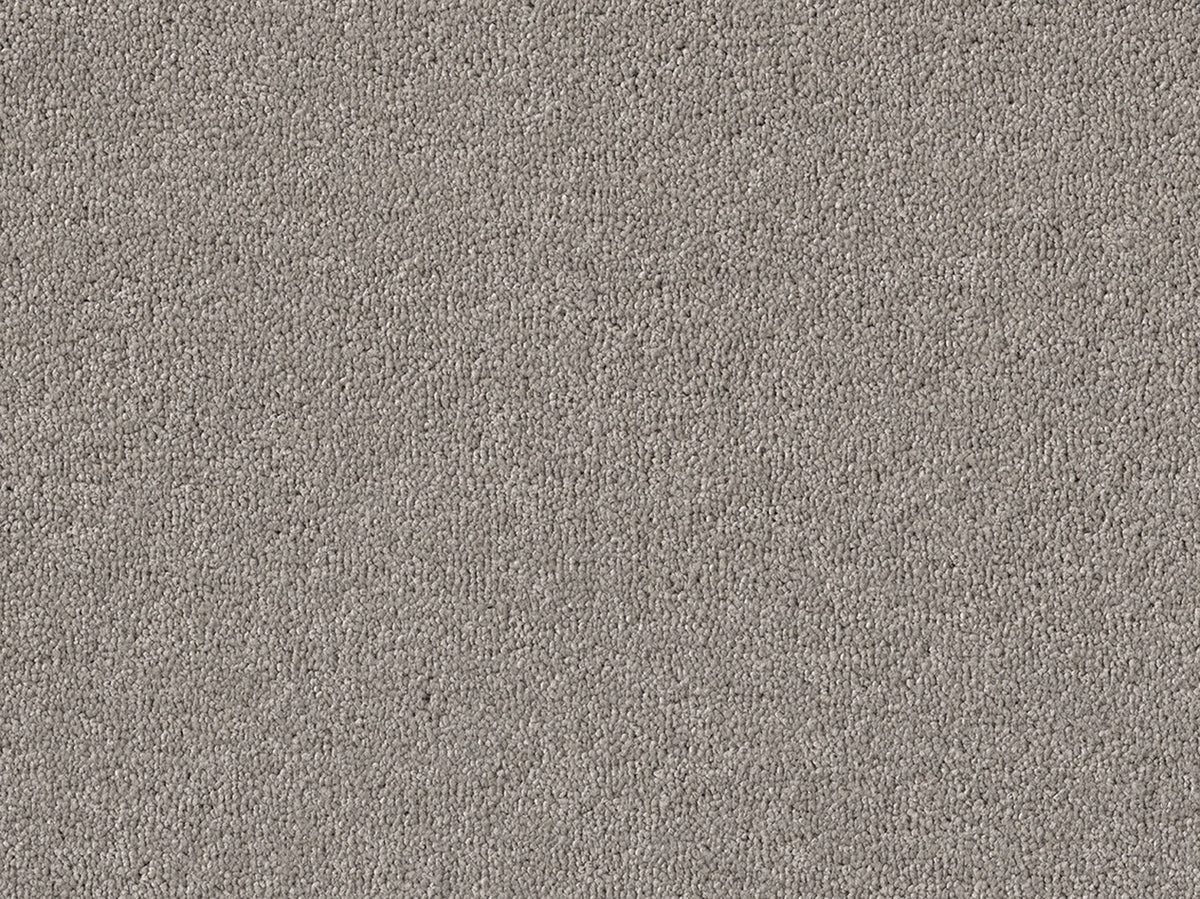 Newbridge Plain Carpet