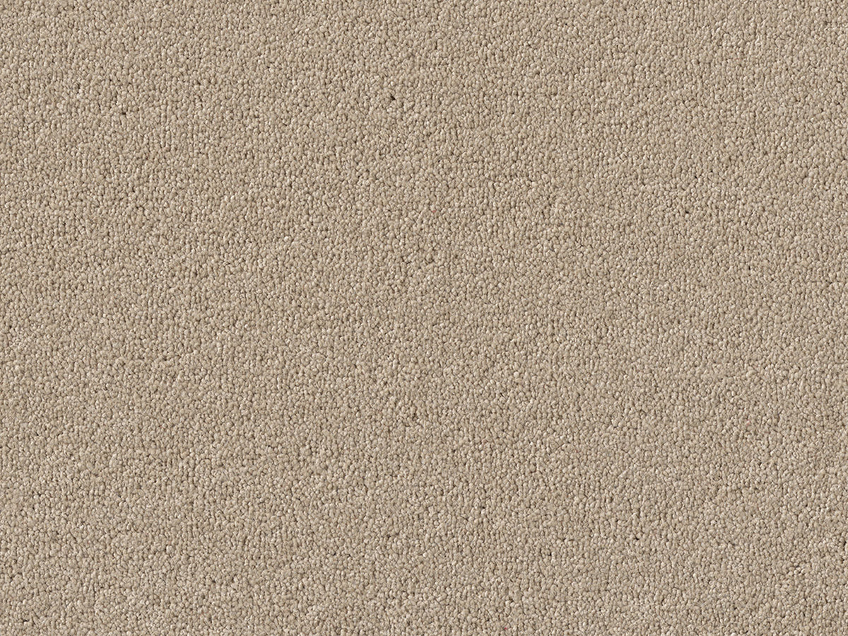 Newbridge Plain Carpet