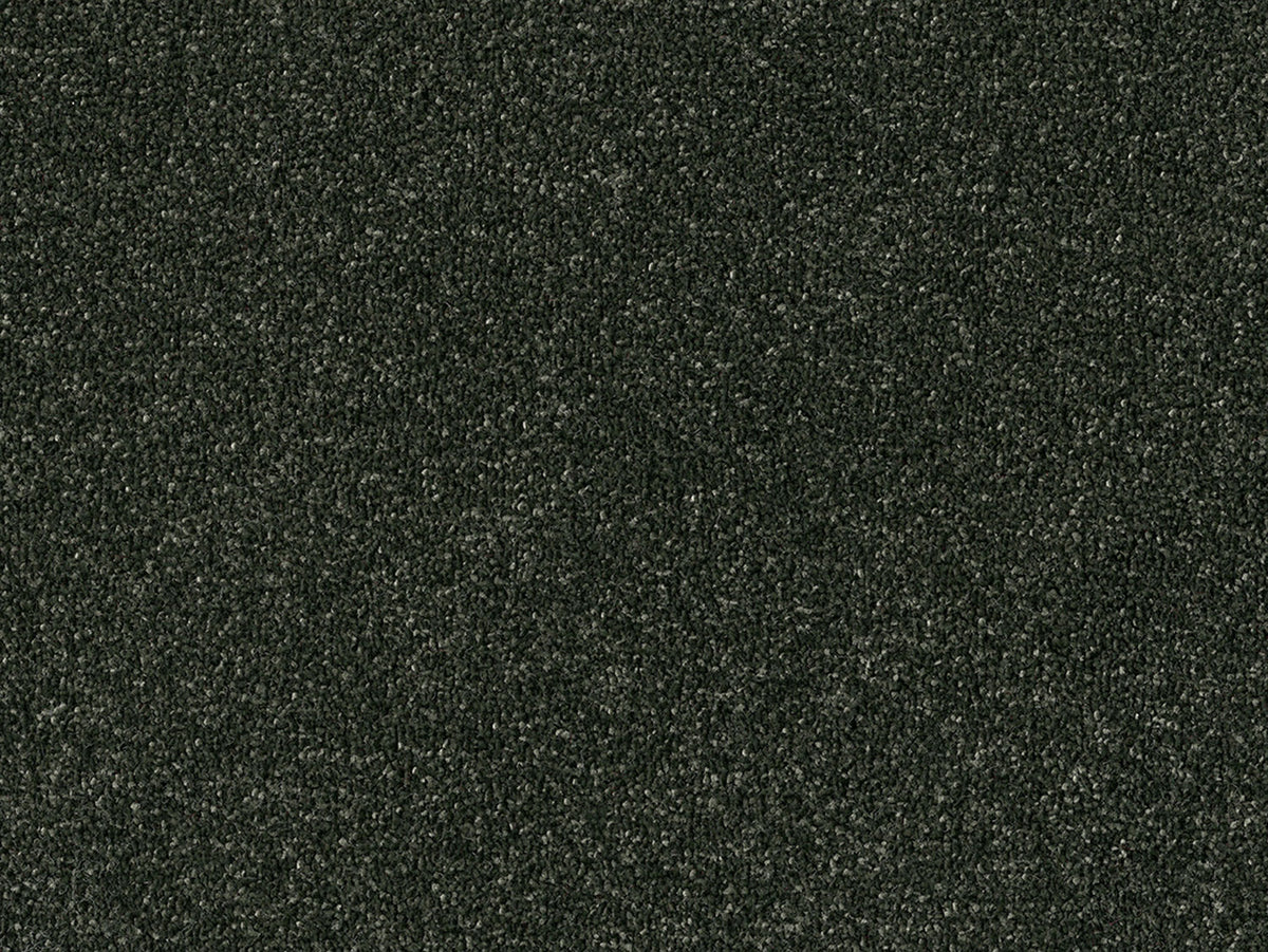 Newbridge Plain Carpet