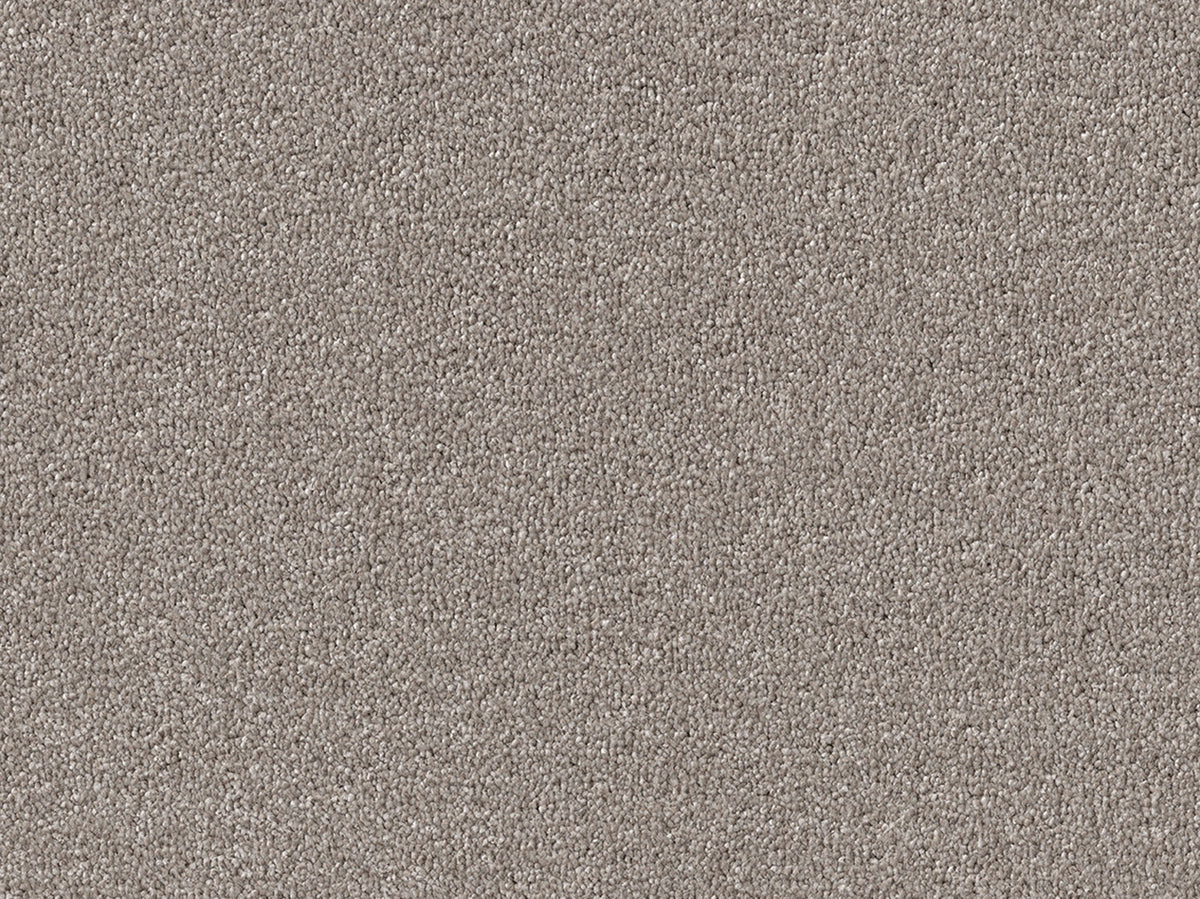 Newbridge Plain Carpet