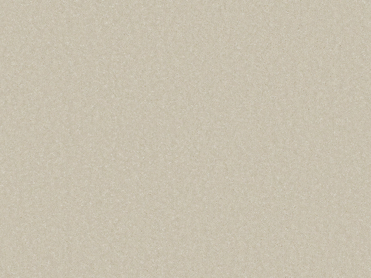Chic Carpet