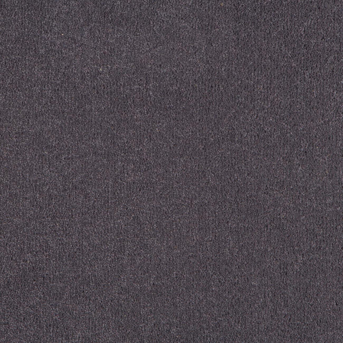 Rigoletto 50oz Carpet