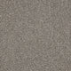 Westbourne Berber Carpet