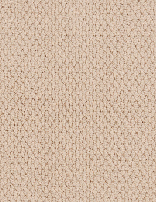 Altere Carpet