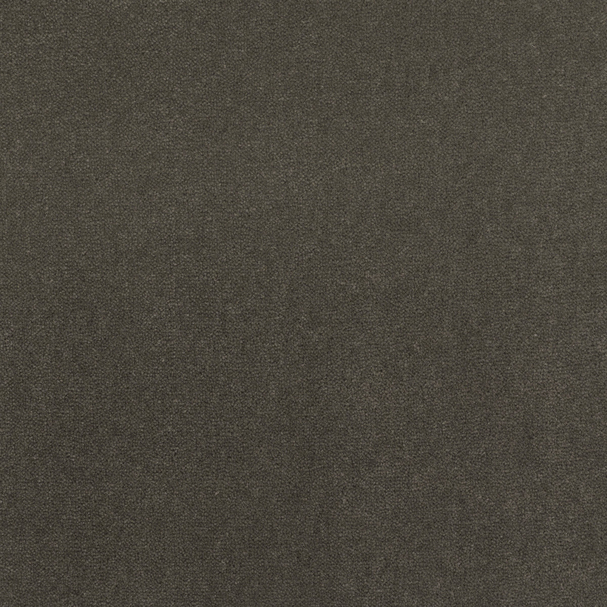 Royal Velvet Carpet